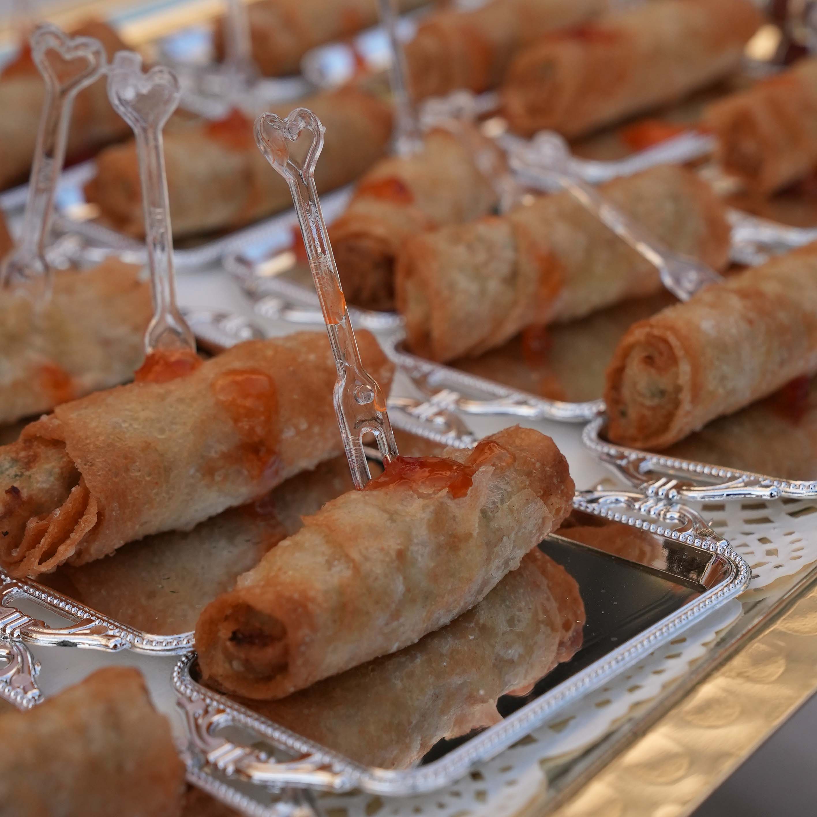 Spring rolls 